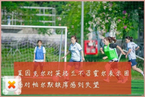 莱因克尔对英格兰不召霍尔表示困惑对帕尔默缺席感到失望