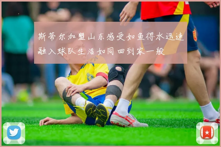 斯蒂尔加盟山东感受如鱼得水迅速融入球队生活如同回到家一般