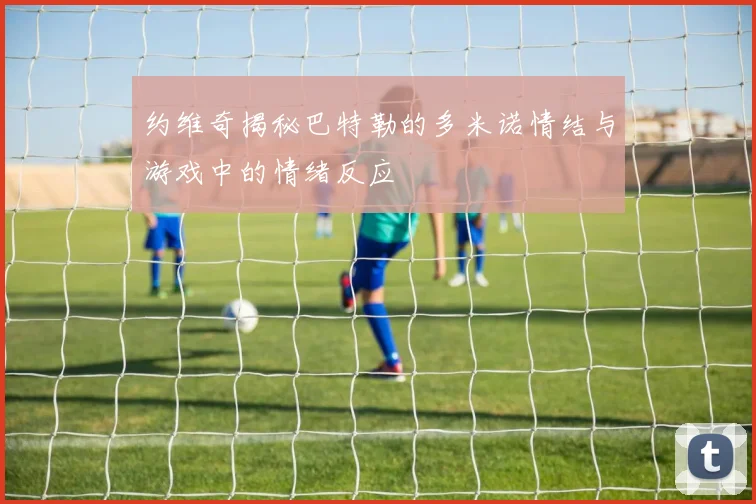 约维奇揭秘巴特勒的多米诺情结与游戏中的情绪反应